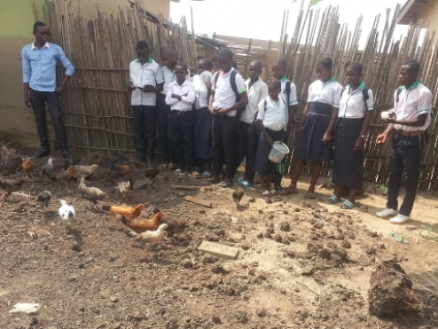 Agricultural project in Mabala contributes to school maintenance